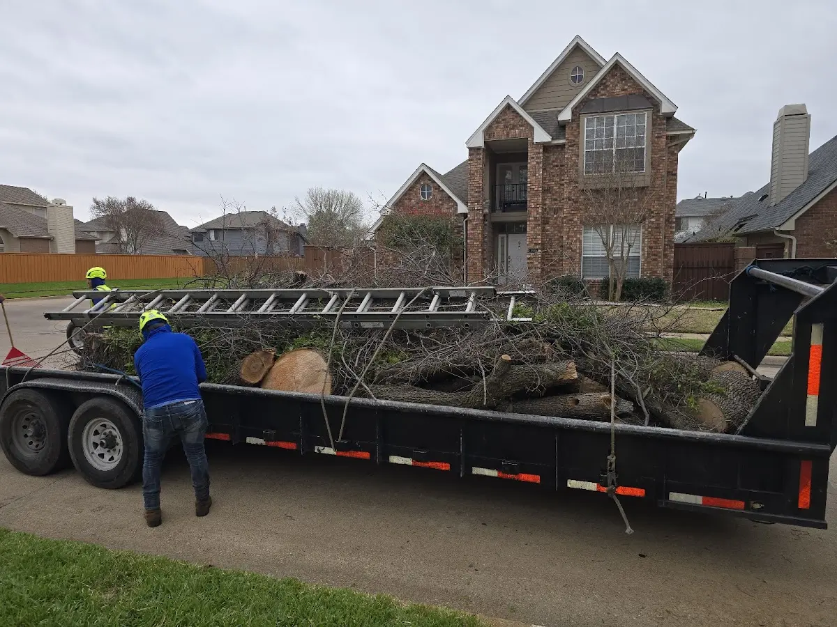 Expert Lot Clearing with proper safety equipment in Colwell